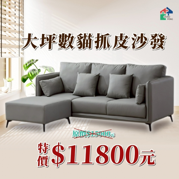 大坪數貓抓皮沙發